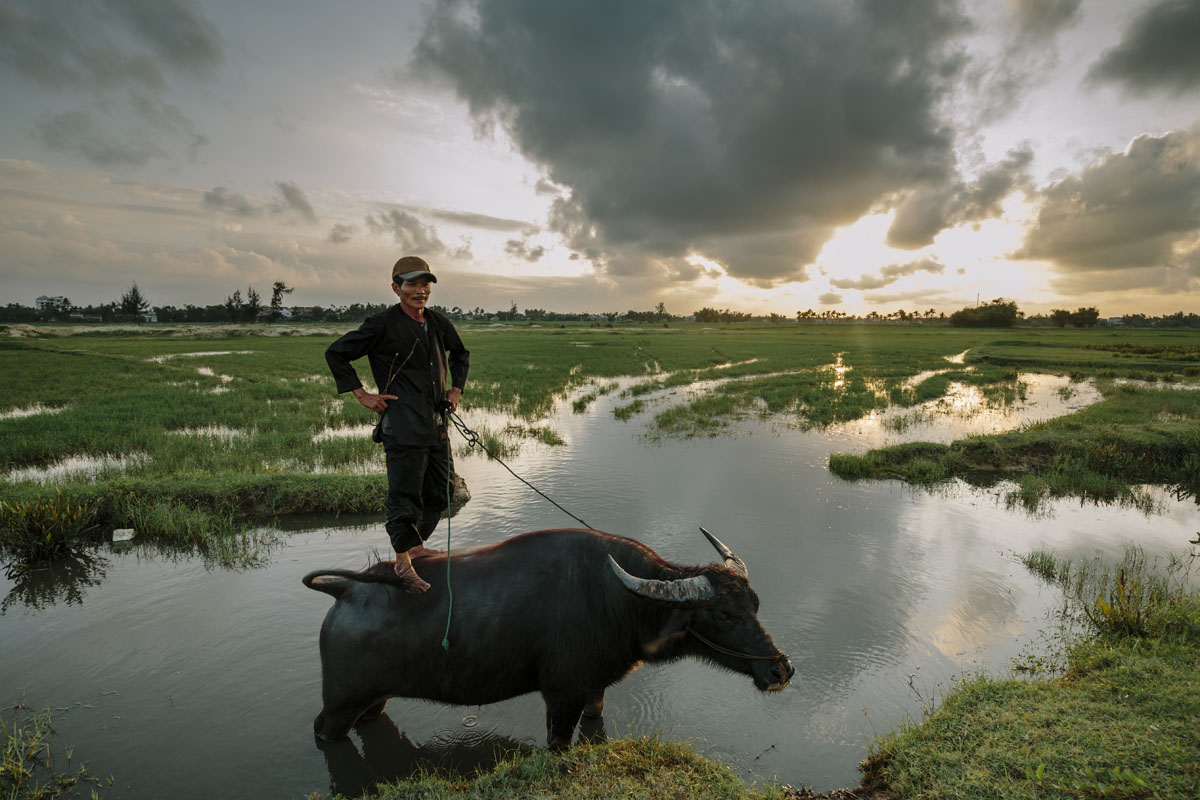 Hoi An Countryside