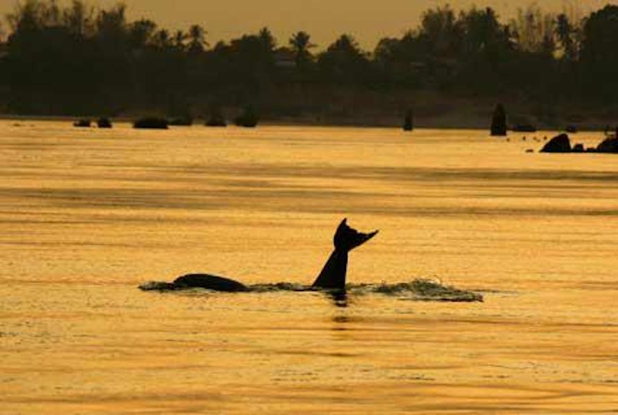 Irrawaddy